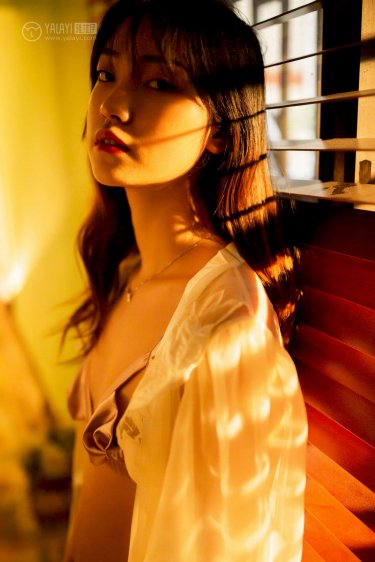 英雄联盟电视剧免费观看